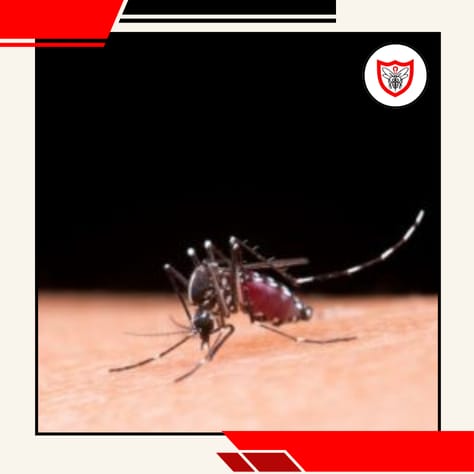 A Day in Noida: ClearShield Helps Stop Malaria in Its Tracks