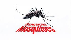 ClearShield mosquito mesh solutions 