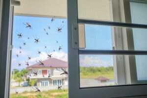 best mosquito net windows for homes.