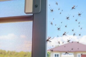 mosquito net doors
