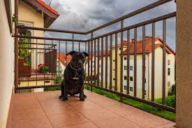 pet safety nets for balconies